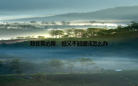 我非常心疼, 但又不知道该怎么办