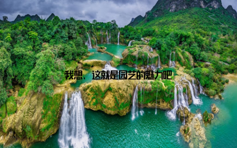 我想, 这就是园艺的魅力吧