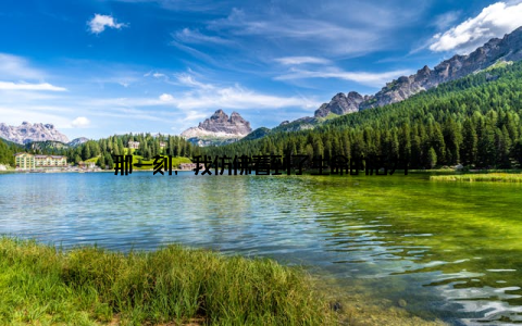 那一刻, 我仿佛看到了生命的活力