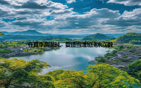 在夏季高温时, 要适当增加浇水次数