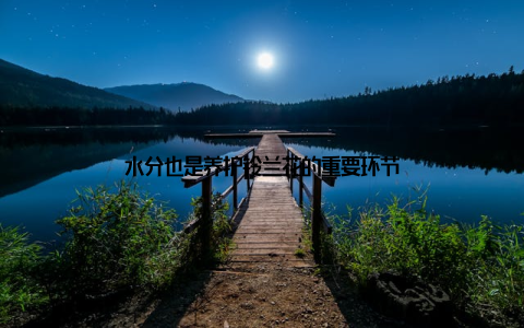 水分也是养护铃兰花的重要环节