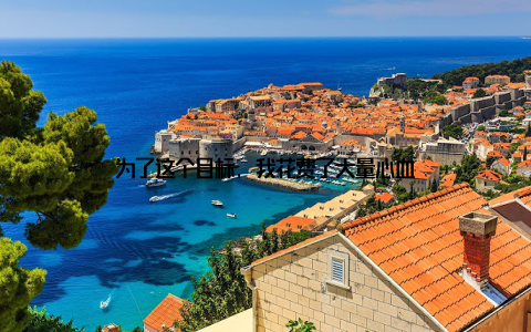 为了这个目标, 我花费了大量心血