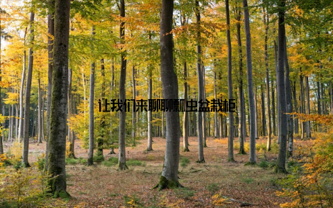 让我们来聊聊瓢虫盆栽柜