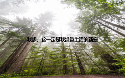 我想, 这一定是我绿色生活的新宠