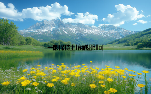 一般保持土壤微湿即可