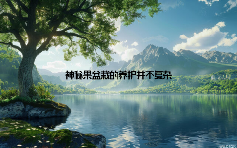 神秘果盆栽的养护并不复杂