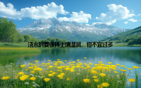 浇水时要保持土壤湿润, 但不宜过多