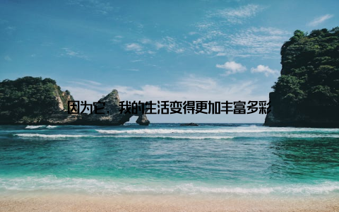 因为它, 我的生活变得更加丰富多彩