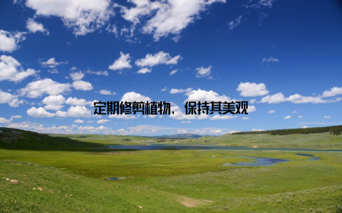 定期修剪植物, 保持其美观