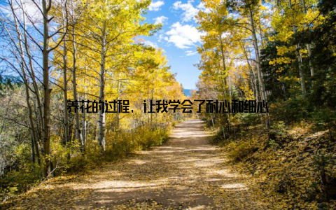 养花的过程, 让我学会了耐心和细心