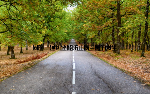 同时, 通风还能防止病虫害的发生