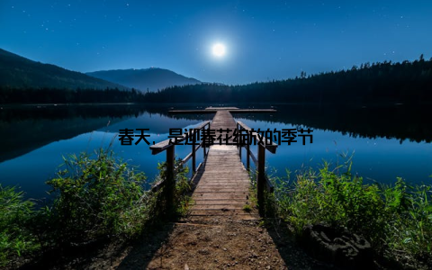 春天, 是迎春花绽放的季节