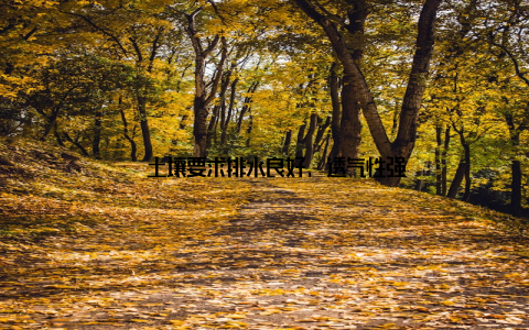 – 土壤要求排水良好, 透气性强