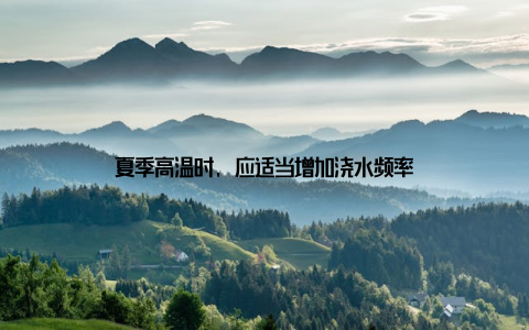 夏季高温时, 应适当增加浇水频率