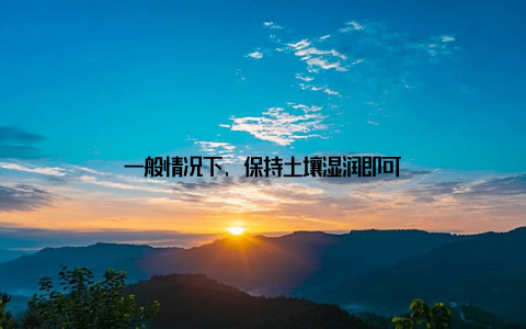 一般情况下, 保持土壤湿润即可