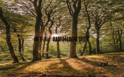 接下来, 就是种植的过程了