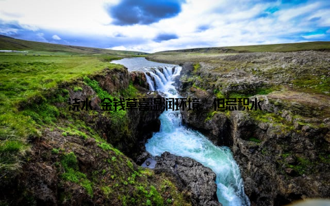 浇水 金钱草喜湿润环境, 但忌积水