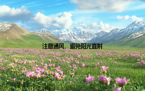 注意通风, 避免阳光直射