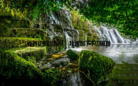 在养护的过程中, 我遇到了不少困难