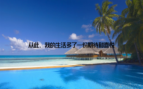 从此, 我的生活多了一份期待和喜悦