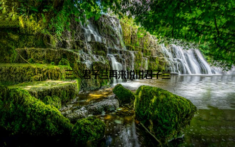 三、君子兰再来说说君子兰