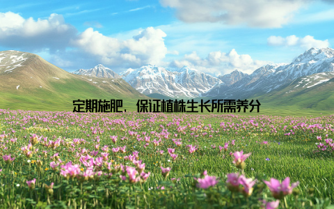 定期施肥, 保证植株生长所需养分