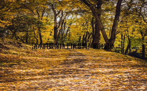 浇水时要保持土壤湿润, 避免积水