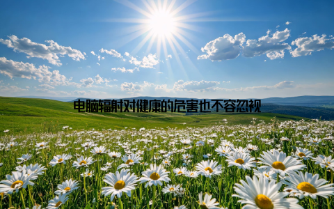 电脑辐射对健康的危害也不容忽视