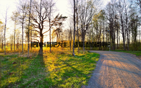 肥料以氮肥为主, 适量添加磷钾肥