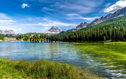 在这个过程中, 我也收获了很多