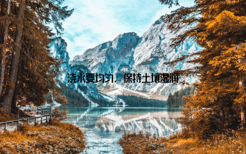 浇水要均匀, 保持土壤湿润