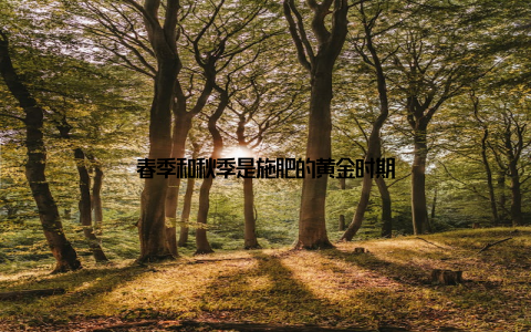 春季和秋季是施肥的黄金时期