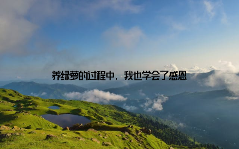 养绿萝的过程中, 我也学会了感恩