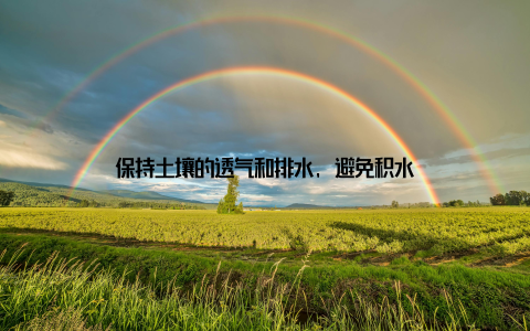 保持土壤的透气和排水, 避免积水