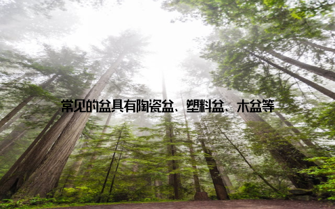 常见的盆具有陶瓷盆、塑料盆、木盆等