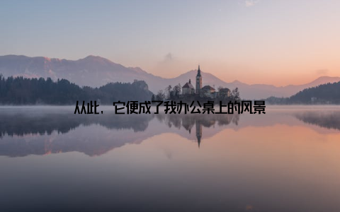 从此, 它便成了我办公桌上的风景