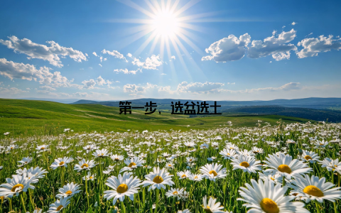 第一步, 选盆选土