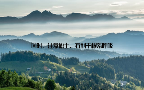 同时, 注意松土, 有利于根系呼吸