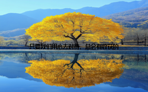 只要我们用心去对待, 总会有收获的