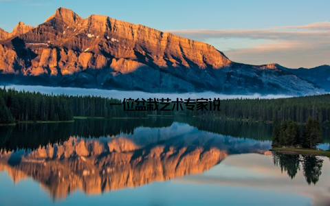 一位盆栽艺术专家说