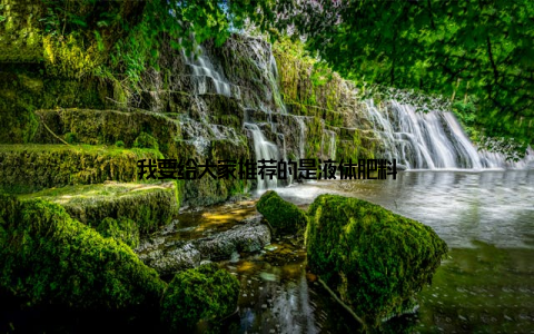 我要给大家推荐的是液体肥料