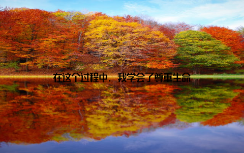 在这个过程中, 我学会了尊重生命