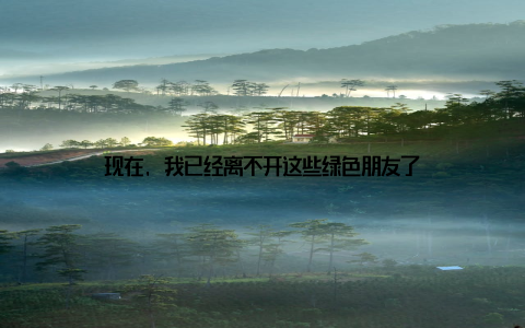 现在, 我已经离不开这些绿色朋友了